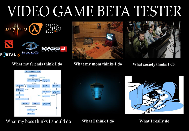 video_game_beta_tester_what_my_friends_think_i_do